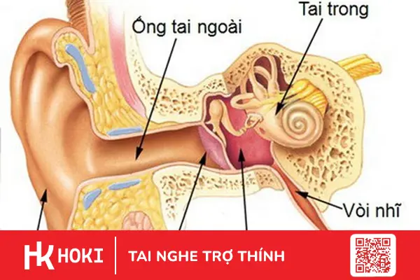 tre-viem-tai-giua-nguy-co-suy-giam-thinh-luc-can-canh-giac